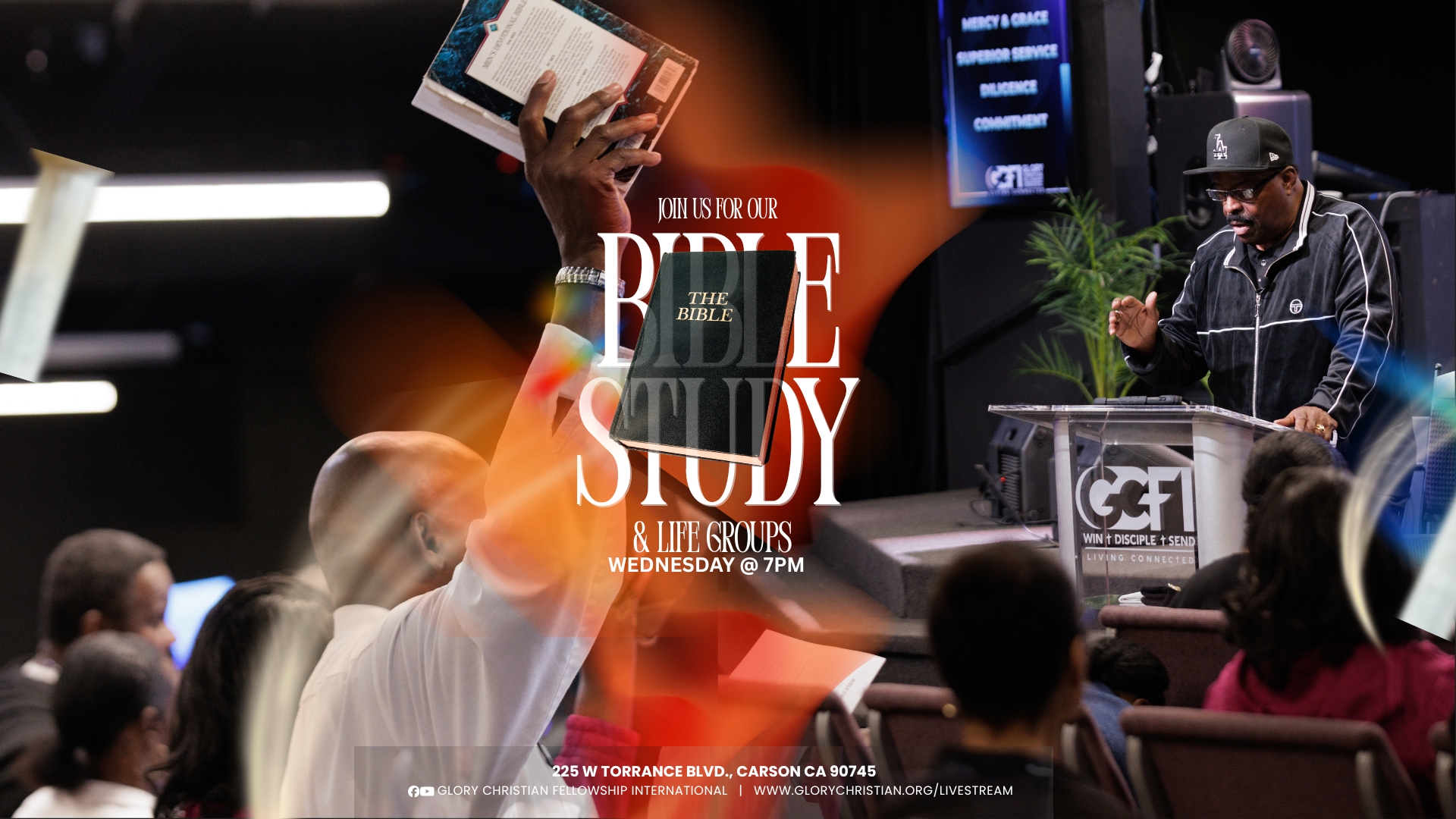 Bible Study & Life Groups
